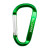 Custom Carabiner Clip Keychain - Green