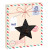 Custom Holiday Window Box with Gourmet Cookie - Double Chocolate Chunk - Star
