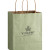 Matte Colored Shopping Bag with Gusset - Foil Stamp - Sage