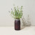 Custom Modern Sprout Indoor Herb Garden Kit - Lavender - On Counter