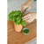 Custom Modern Sprout Growing Gourmet Gift Set - Terracotta - In Use