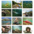 Custom Fishing - Spiral Calendar - Months