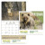 Premium Appointment Calendar - Sportsman