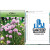 Chive Seed Packets with Logo | Custom Chive Seed Packs