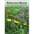 Custom Logo Wildflower Seed Packets | Company Logo Wildflower Mixture Packets