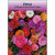 Custom Zinnia Seed Packets