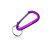 Custom Metal Carabiner Keychains - Purple
