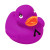 Imprinted Colorful 2" Rubber Ducks - Purple
