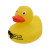 Custom Promo Duck - Yellow Side View