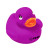 Custom Colorful Duck - Purple 