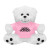 Custom 6-Inch Teddy Bear - Pink 