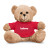 Custom 7" Teddy Bear - Red
