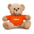 Custom 7" Teddy Bear - Orange 