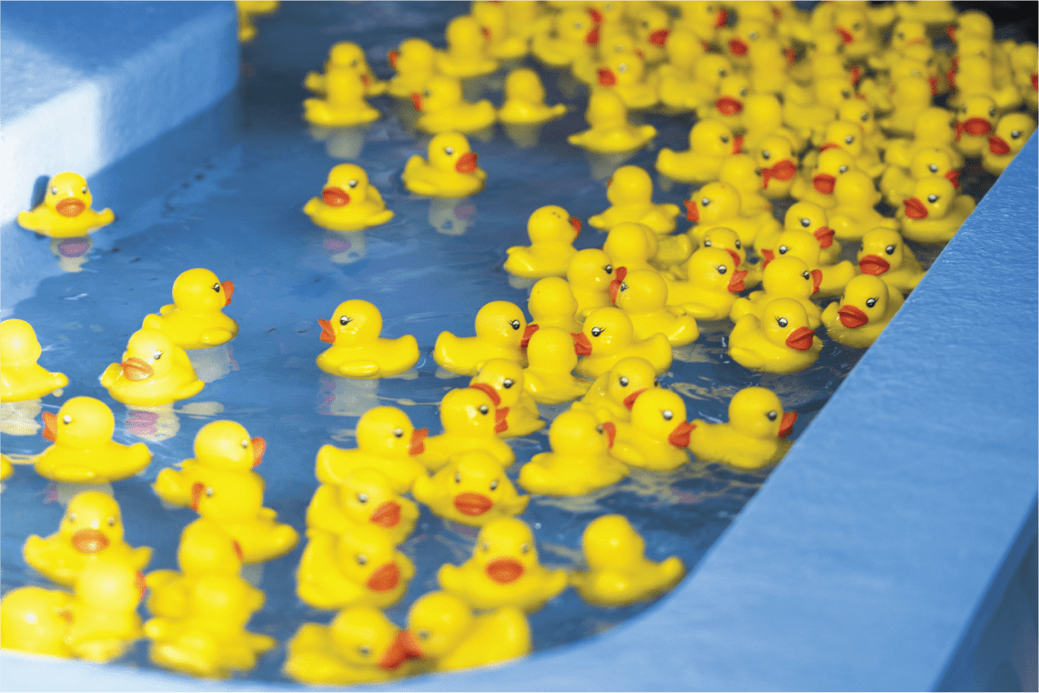 Duck Race