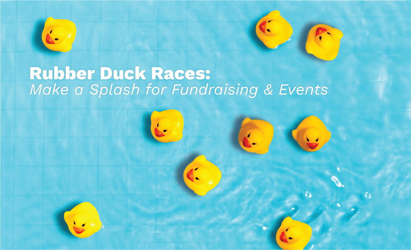 Rubber Duck Races for Fundraising & Events