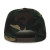 Custom 5-panel Generic Camo Solid Back - Woodland Back View