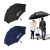 Custom 60" Classic Umbrella - All Color
