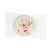 Custom Peppermint Delight Cookies in Tote Box - Cookie Packaging View