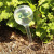 Custom Evergreen Self-Watering Globe - Lifestyle