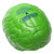 Custom Brain Slo-Release Serenity Squishy - Lime Green