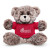 Custom 7" Soft Plush Bear With T-Shirt - Red