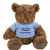 12 inch Traditional Teddy Bear Promotional Custom Imprinted With Logo