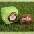 Custom Football Mania Stress Ball - Brown/White Packaging View 