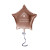Custom 18" Star-shaped Mylar Balloon 1 COLOR 1 SIDE - Rose Gold 