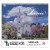 Custom Scenic Churches Calendar - Spiral - Front view