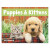 Custom Puppies & Kittens - Window Calendar - Front view