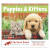 Custom Puppies & Kittens - Spiral Calendar Front view