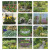 Custom Garden Walk - Staped Calendar Calendar - Month view 