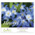 Custom Flowers - Staped Calendar - Front view