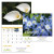 Custom Flowers - Staped Calendar