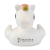 Custom Mini Unicorn Duck