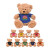 Custom 11" Cooper Bear - All Colors 