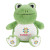 Custom Chelsea Teddy Bear Softies - 13" Plush - Frog 