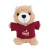 Custom Chelsea Teddy Bear Team Players - 7.5" Plush - Gopher 