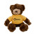 Custom Chelsea Teddy Bear Dexter Jr. - 10" Plush - Dark Brown T-Shirt View 