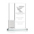 Custom Brick-by-Brick Award - Clear 