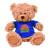 Custom 11" Cooper Bear - Blue 