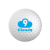 Custom 2 PC Surlyn Competition Golf Balls