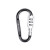 Custom SecureLink Mini Carabiner Keychain - Black