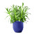 Custom Modern Sprout Garden Vibes Candle/Planter - Violet Hour/Lavender Planter front View 