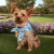 Custom Sublimated RPET Bandana - White Lifestyle View 