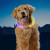 Custom Nite Ize Nitehowl Max Rechargeable Led Safety Necklace - Gray Lifestyle