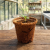 Custom CoCo Planter Kit - Front View