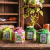 Custom Sprout Tyme Pop Up" Seed Starter Kit - All Design