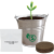 Custom Bucket o' Blossoms Planter Kit - Silver