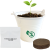 Custom Bucket o' Blossoms Planter Kit - White